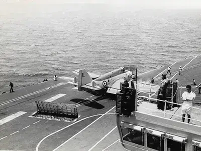 Cod Gannet Take Off 2